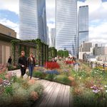 Rendering of what the roof deck would look like: wild flowers and grasses and decking, with views of skyscrapers